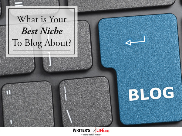 What is Your Best Niche To Blog About? - Writer's Life.org
