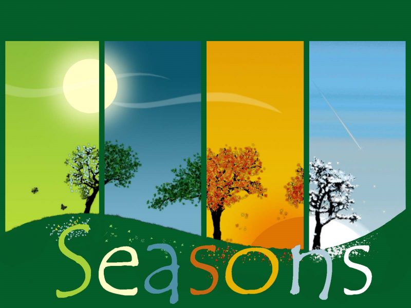 four seasons near me