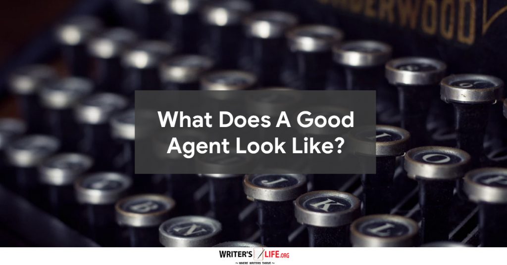 What Does A Good Agent Look Like