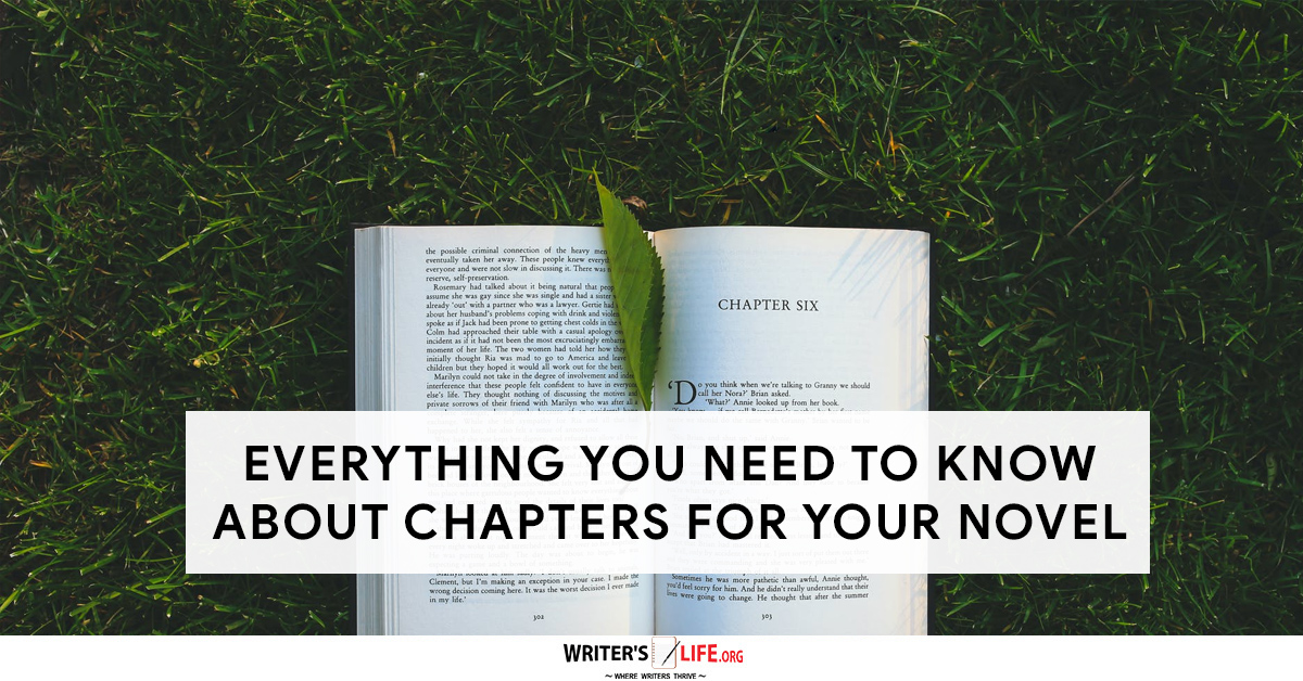 what does chapters mean? A book open on some grass